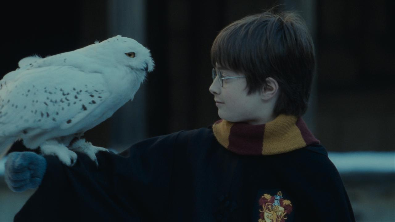 Harry Potter y la piedra filosofal