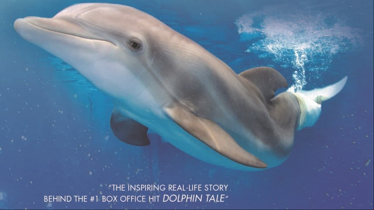Winter, the Dolphin that Can Winter, the Dolphin that Can