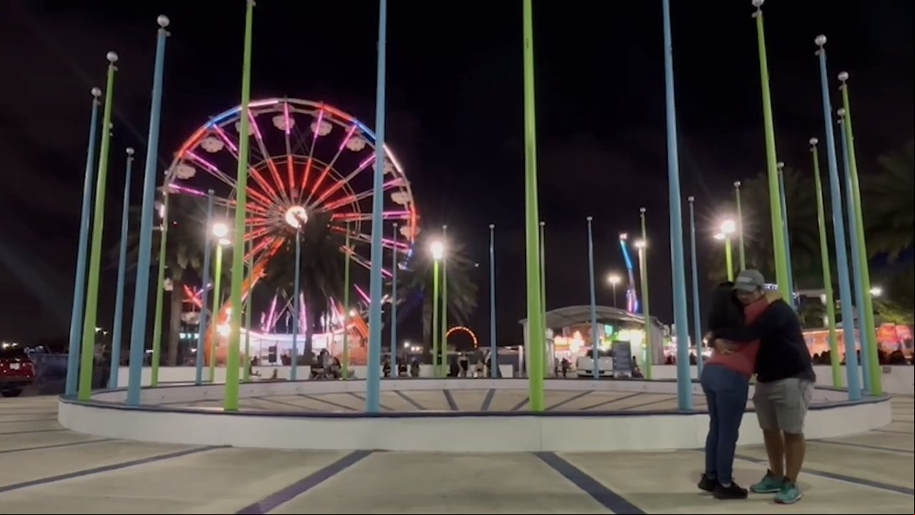 Ferris Wheel Ferris Wheel