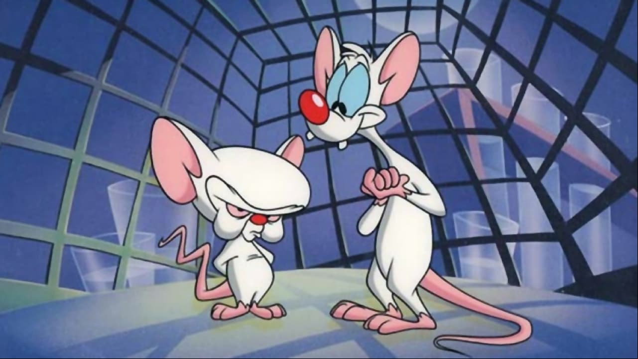 Pinky y Cerebro Pinky y Cerebro