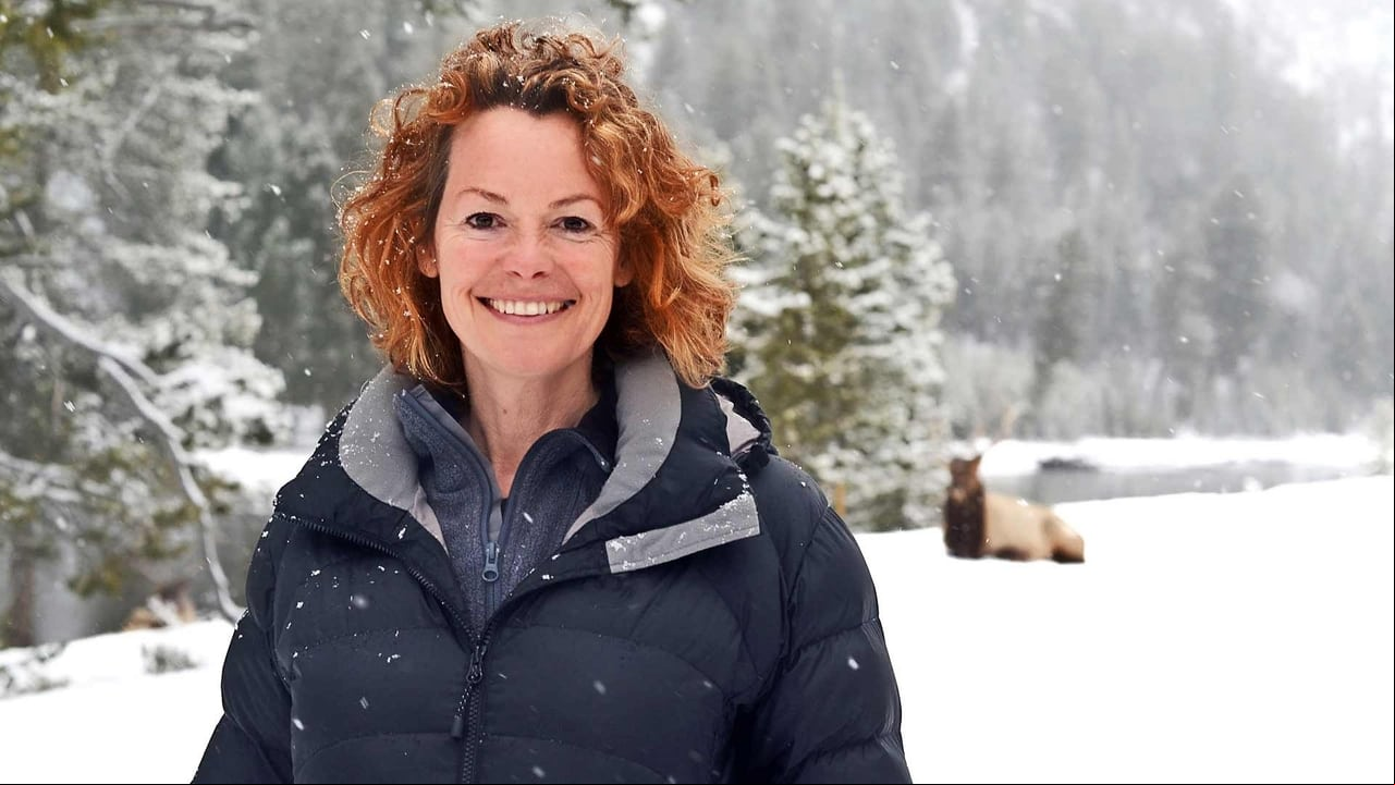Yellowstone: El gran deshielo