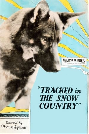Tracked in the Snow Country