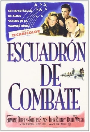 Escuadrón de combate Escuadrón de combate