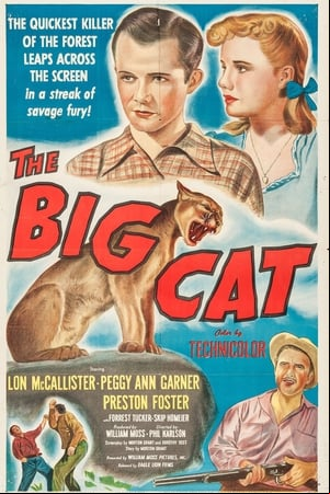 El gran gato