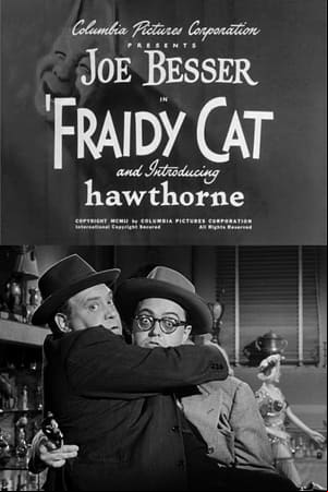 Fraidy Cat Fraidy Cat