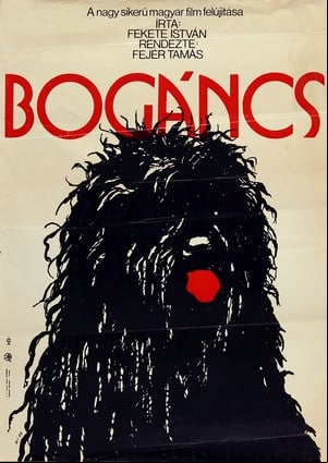Bogáncs