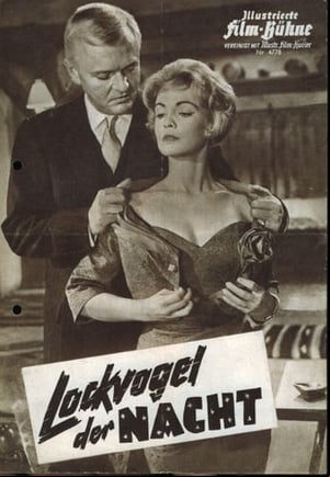 Lockvogel der Nacht