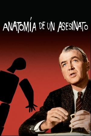 Anatomía de un asesinato