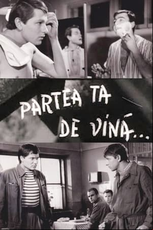 Partea ta de vină Partea ta de vină