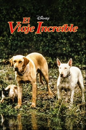 El viaje increible El viaje increible