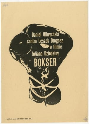 Bokser