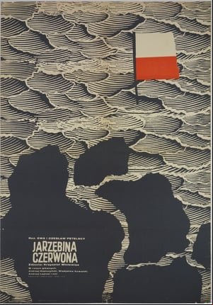 Jarzębina czerwona Jarzębina czerwona