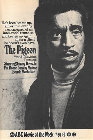 The Pigeon The Pigeon