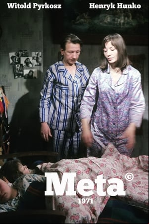 Meta Meta