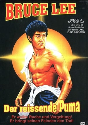 La imagen de Bruce Lee La imagen de Bruce Lee