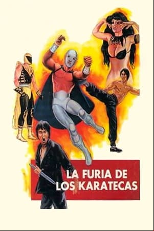 La furia de los karatecas La furia de los karatecas