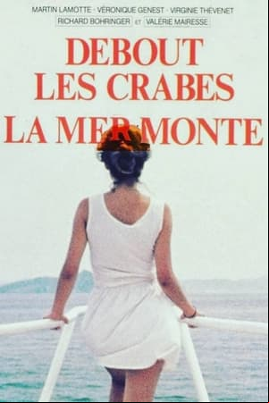 Debout les crabes, la mer monte ! Debout les crabes, la mer monte !