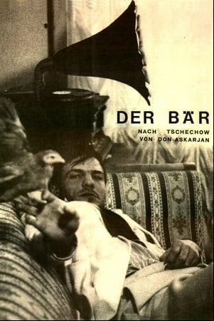 Der Bär Der Bär