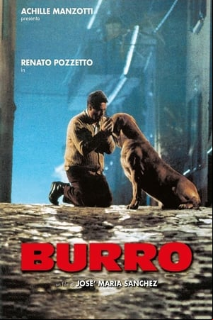 Burro Burro