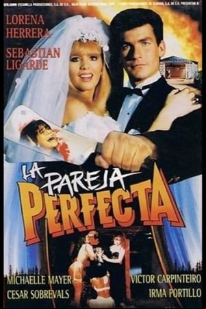 La pareja perfecta La pareja perfecta