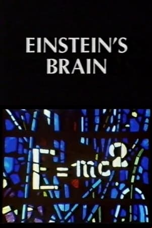 Relics: Einsteins Brain