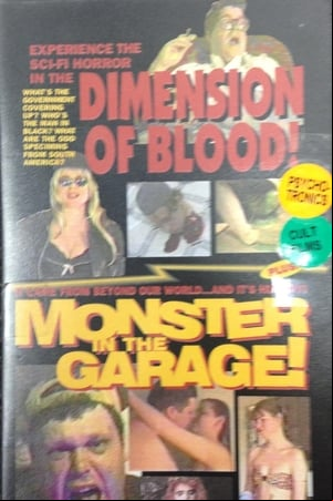 Dimension of Blood