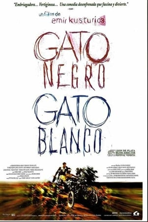 Gato negro, gato blanco Gato negro, gato blanco