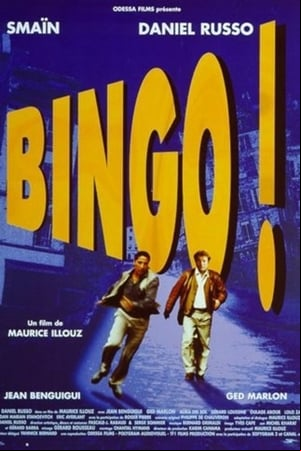Bingo! Bingo!