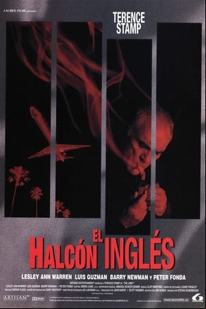El halcón inglés El halcón inglés