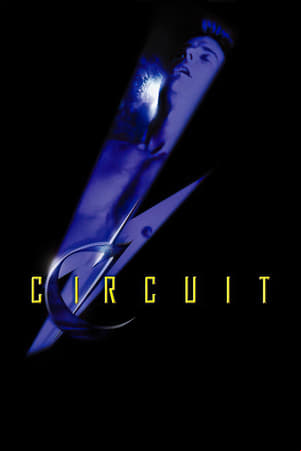 Circuit Circuit