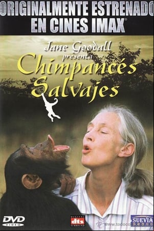 Imax - Chimpances Salvajes