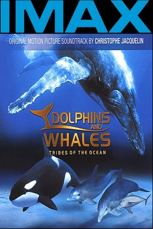 Delfines y ballenas - Tribus del océano