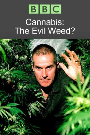 Cannabis: The Evil Weed?