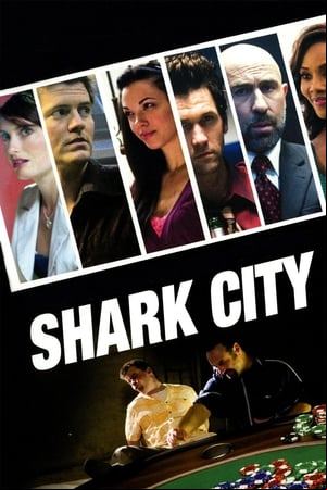 Shark City Shark City