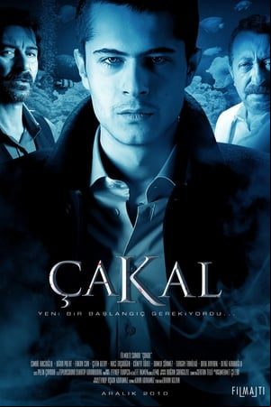 Çakal