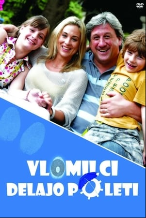 Vlomilci delajo poleti