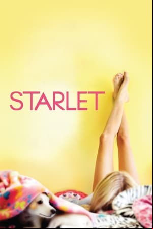 Starlet Starlet