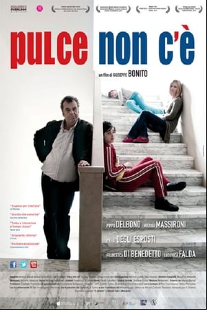 Pulce non cè
