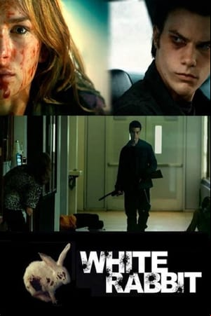 White Rabbit White Rabbit