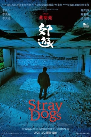 Stray Dogs