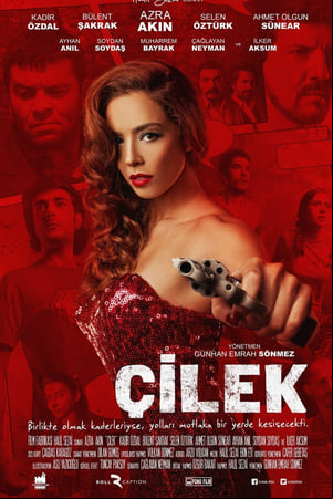 Çilek