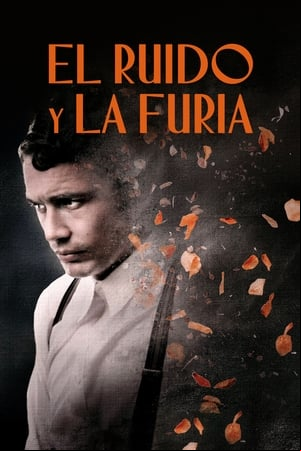 El ruido y la furia