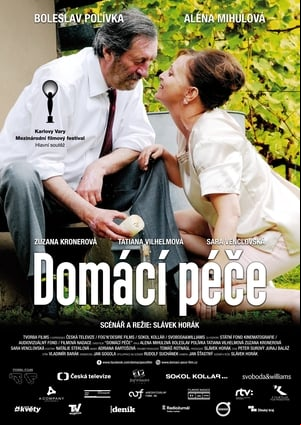 Domácí péče