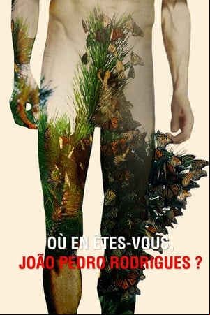 Où en êtes-vous, João Pedro Rodrigues ?