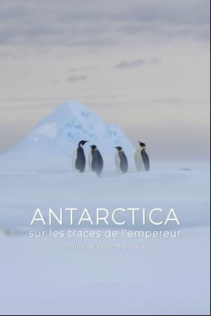 Antarctica, sur les traces de lempereur