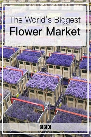 The Worlds Biggest Flower Market The Worlds Biggest Flower Market