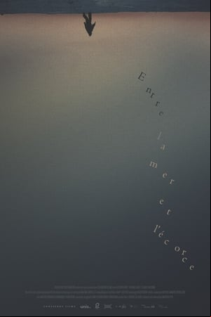 Entre la mer et lécorce Entre la mer et lécorce