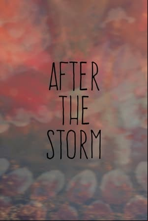 After the Storm