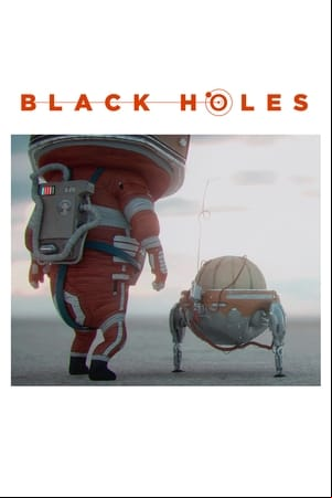 Black Holes Black Holes