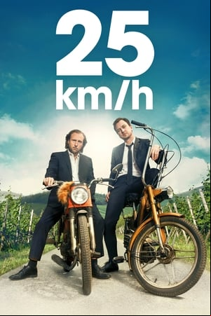 25 km/h 25 km/h